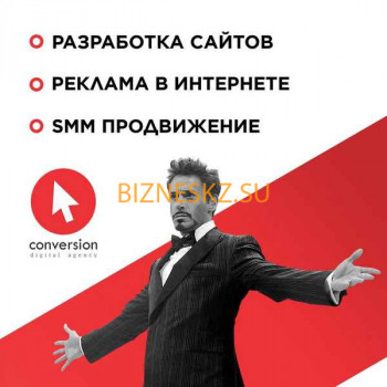 Conversion Digital Agency