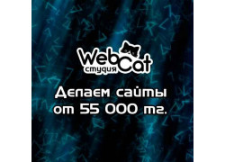 Интернет студия WebCat